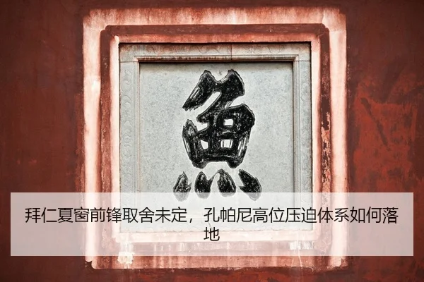 拜仁夏窗前锋取舍未定，孔帕尼高位压迫体系如何落地（Kaiyuan）