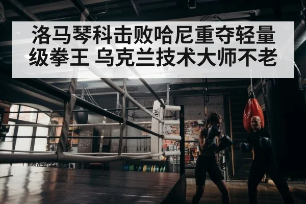 boxer training