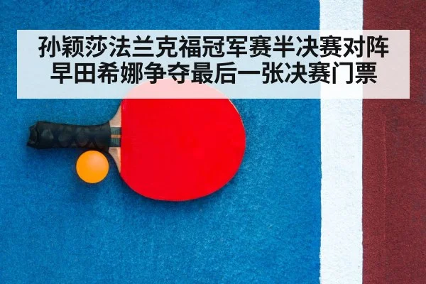 table tennis racket